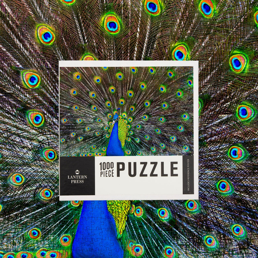 Peacock, Jigsaw Puzzle Puzzle Lantern Press 