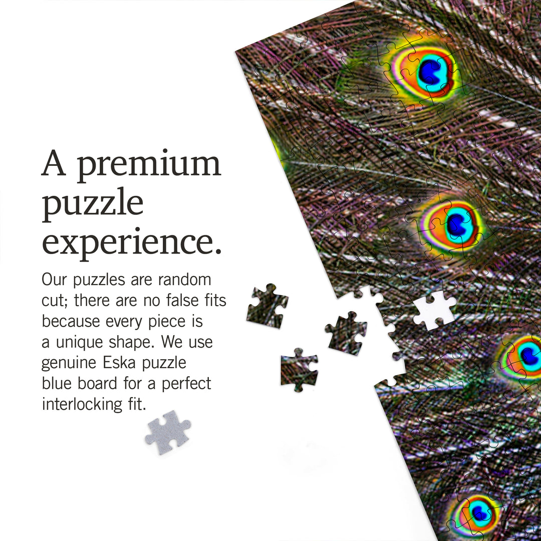 Peacock, Jigsaw Puzzle Puzzle Lantern Press 