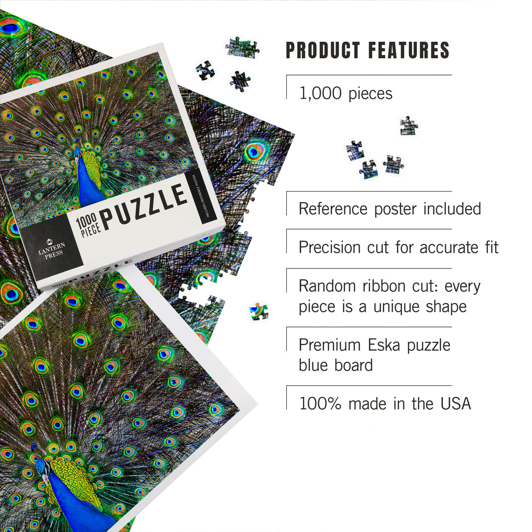 Peacock, Jigsaw Puzzle Puzzle Lantern Press 