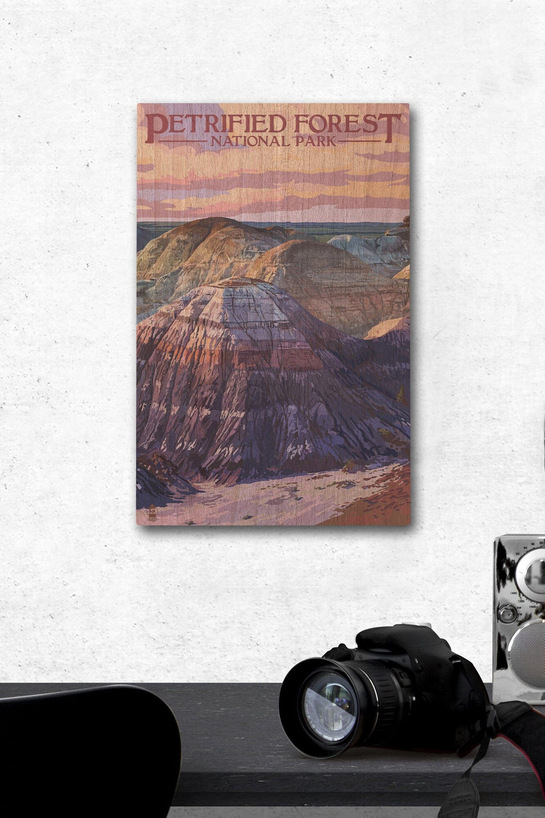 Petrified Forest National Park, Arizona, Chinle Formation, Lantern Press Artwork, Wood Signs and Postcards Wood Lantern Press 12 x 18 Wood Gallery Print 