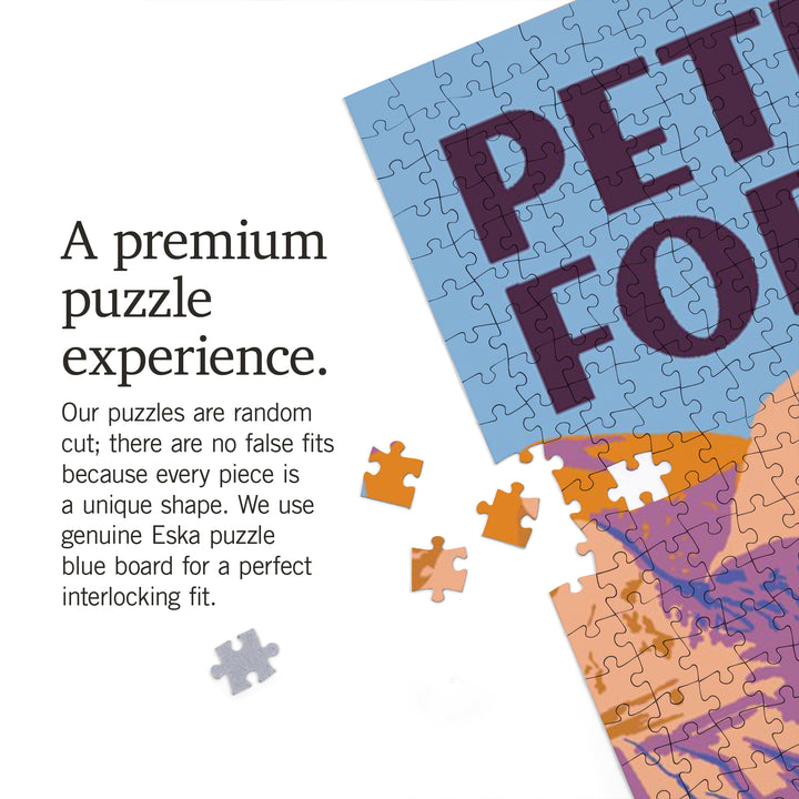 Petrified Forest National Park, Explorer Series, Jigsaw Puzzle Puzzle Lantern Press 