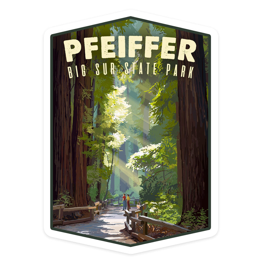 Pfeiffer Big Sur State Park, California, Pathway in Redwood Forest, Contour, Lantern Press Artwork, Vinyl Sticker Sticker Lantern Press 