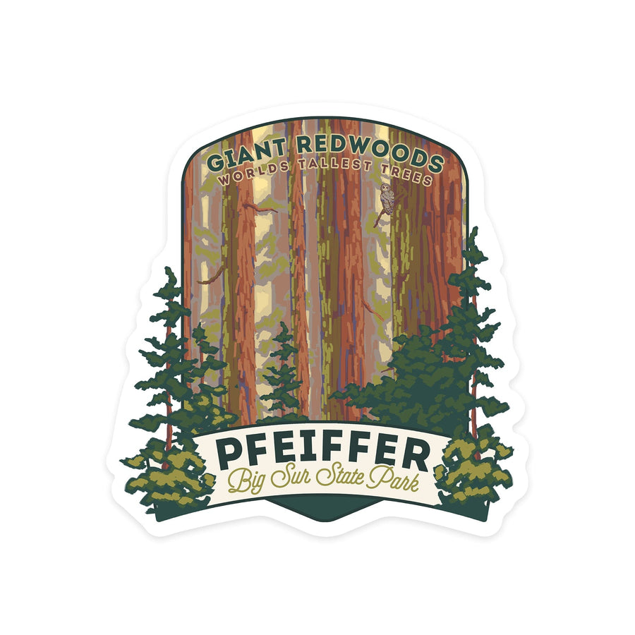 Pfeiffer Big Sur State Park, California, Redwoods Forest View, Contour, Lantern Press Artwork, Vinyl Sticker Sticker Lantern Press 