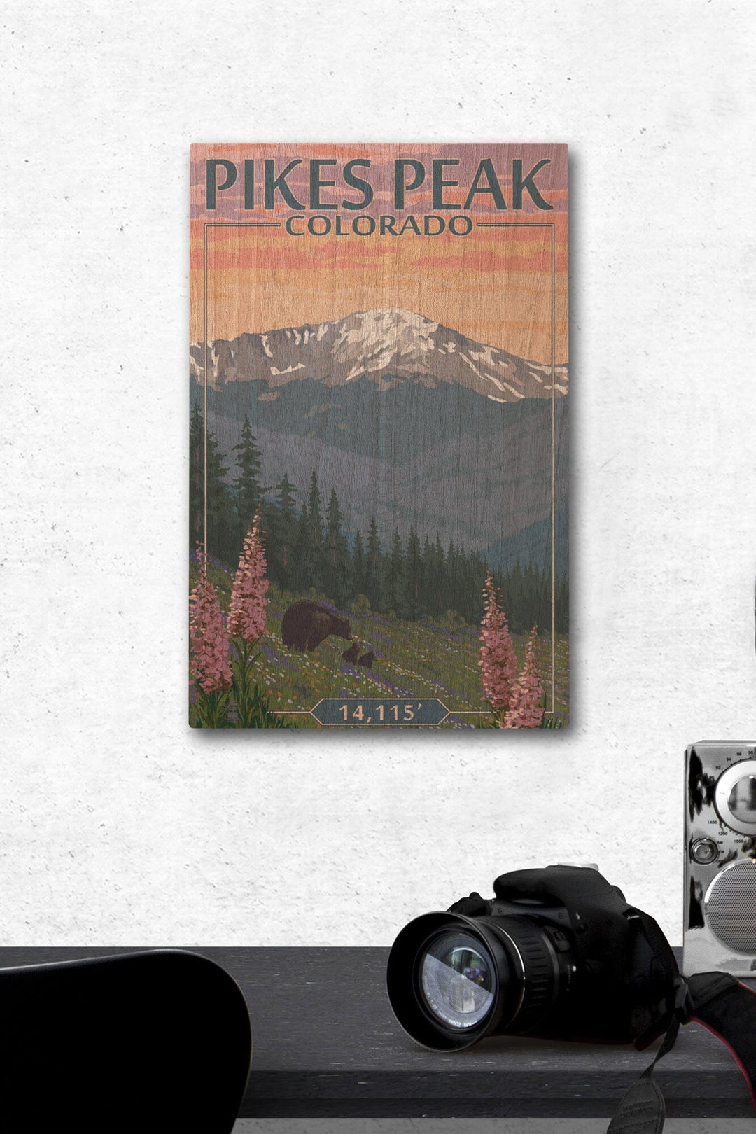 Pikes Peak, Colorado, Bear & Spring Flowers, Lantern Press Artwork, Wood Signs and Postcards Wood Lantern Press 12 x 18 Wood Gallery Print 