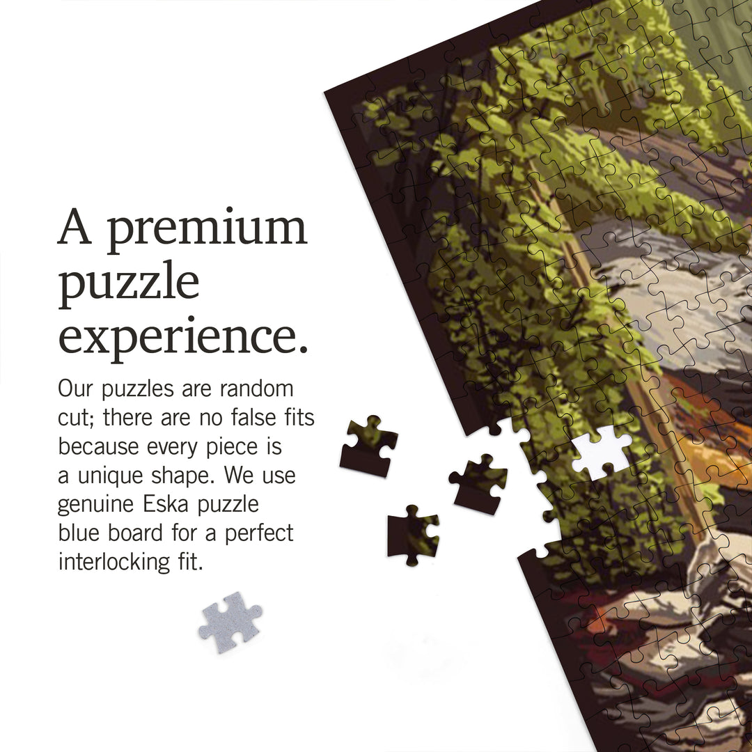 Pisgah National Forest, Brevard, North Carolina, Jigsaw Puzzle Puzzle Lantern Press 