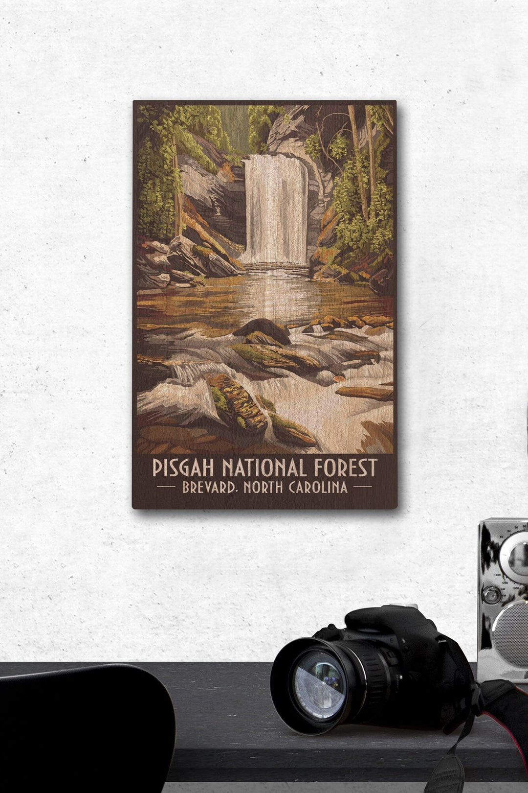 Pisgah National Forest, Brevard, North Carolina, Lantern Press Artwork, Wood Signs and Postcards Wood Lantern Press 12 x 18 Wood Gallery Print 