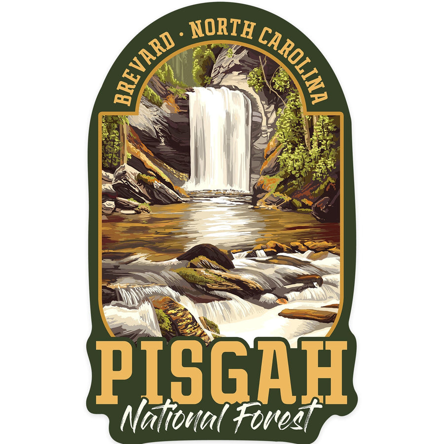 Pisgah National Forest, Brevard, North Carolina, Looking Glass Falls, Contour, Lantern Press Artwork, Vinyl Sticker Sticker Lantern Press 