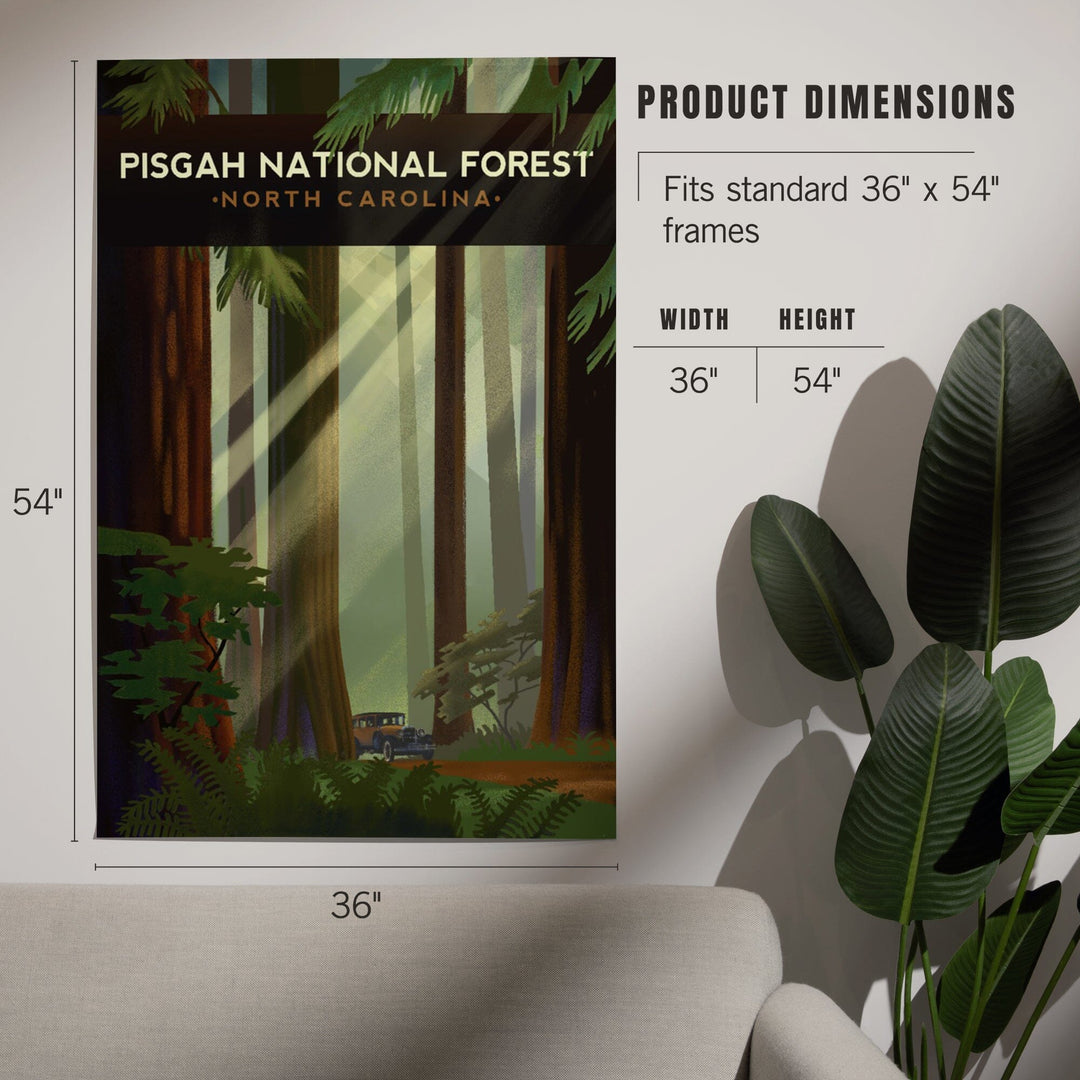 Pisgah National Forest, North Carolina, Redwood Forest, Lithograph, Art & Giclee Prints Art Lantern Press 