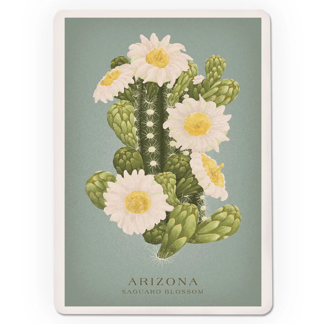 Playing Cards, Arizona, Vintage Flora, State Series, Saguaro Blossom, 52 Card Deck with Jokers in Box, Unique Art Cards Lantern Press 