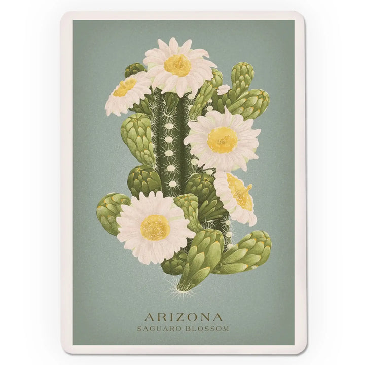 Playing Cards, Arizona, Vintage Flora, State Series, Saguaro Blossom, 52 Card Deck with Jokers in Box, Unique Art Cards Lantern Press 