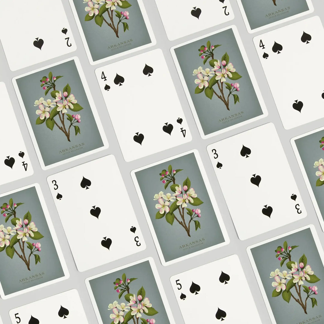Playing Cards, Arkansas, Vintage Flora, State Series, Apple Blossom, 52 Card Deck with Jokers in Box, Unique Art Cards Lantern Press 