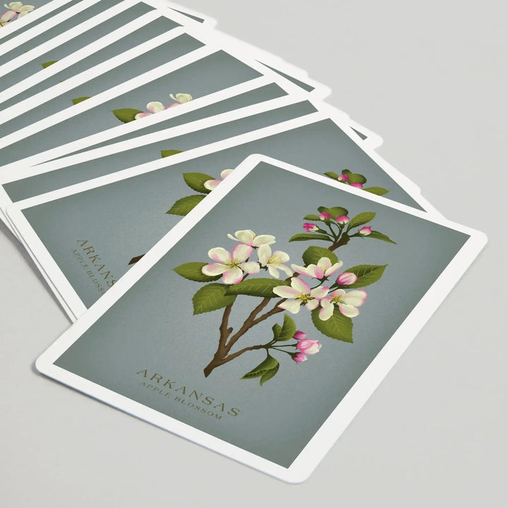 Playing Cards, Arkansas, Vintage Flora, State Series, Apple Blossom, 52 Card Deck with Jokers in Box, Unique Art Cards Lantern Press 