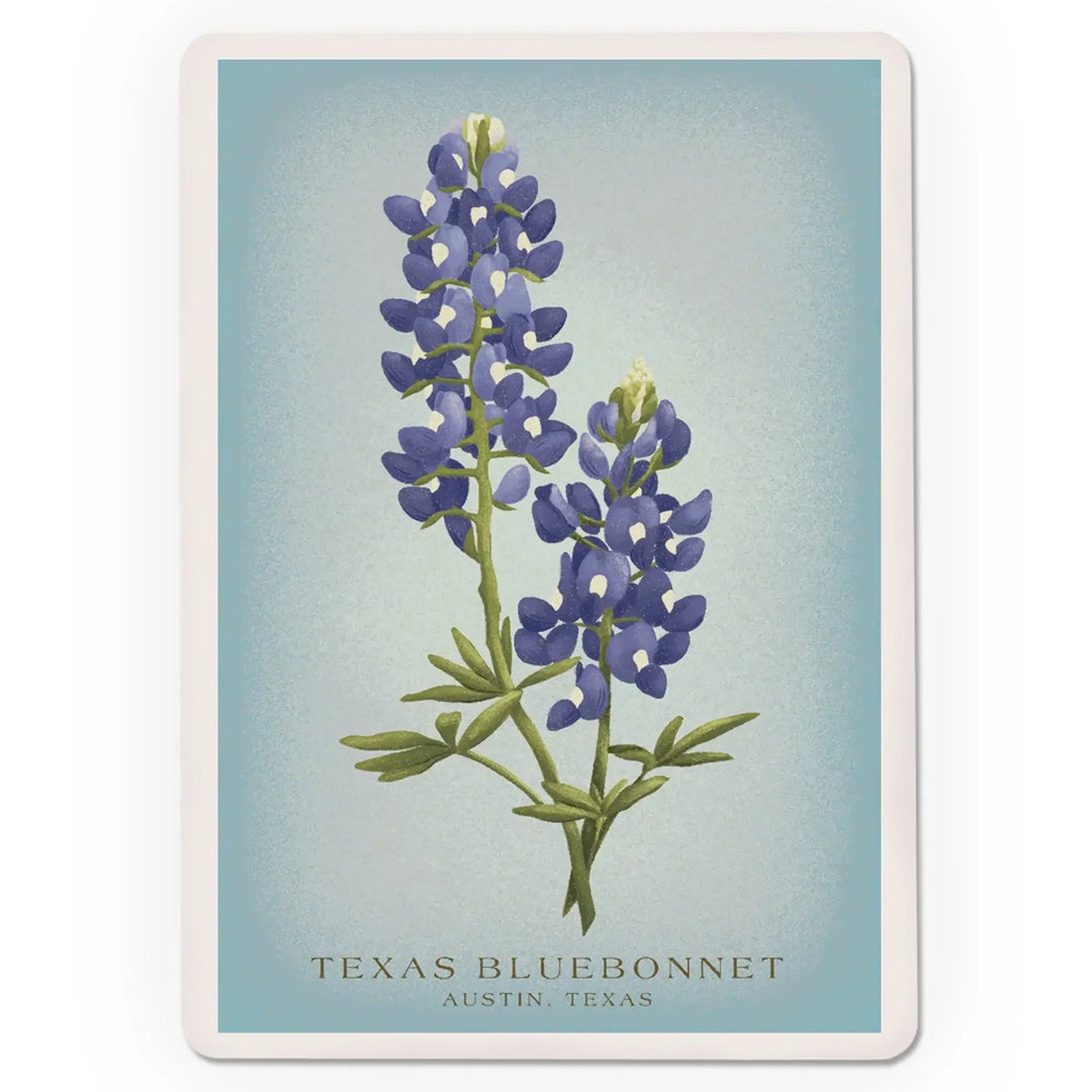 Playing Cards, Austin, Texas, Vintage Flora, State Series, Bluebonnet, 52 Card Deck with Jokers in Box, Unique Art Cards Lantern Press 