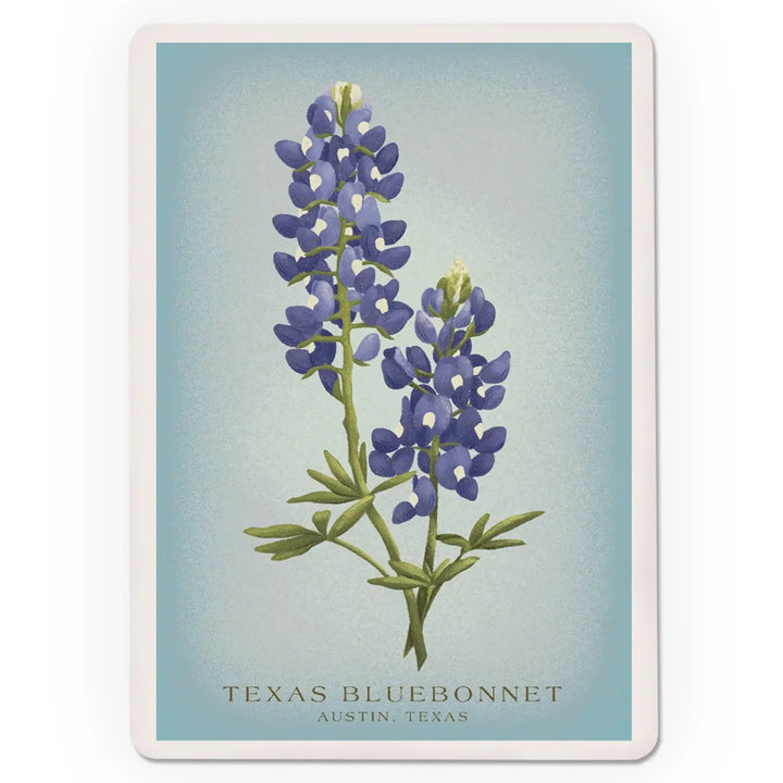 Playing Cards, Austin, Texas, Vintage Flora, State Series, Bluebonnet, 52 Card Deck with Jokers in Box, Unique Art Cards Lantern Press 