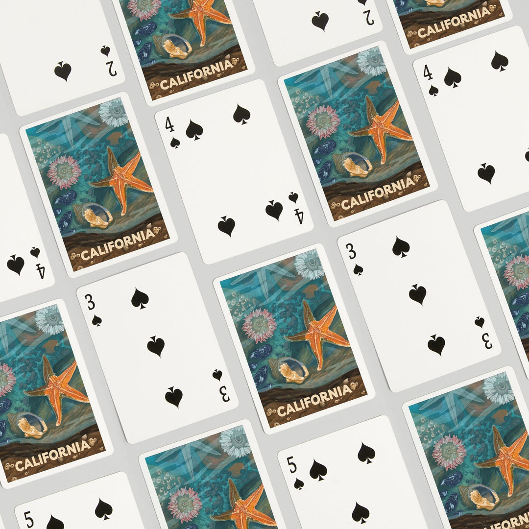 Playing Cards, California, Tiny World Huge Wonders, Coastal Series, Starfish and Shells, 52 Card Deck with Jokers in Box, Unique Art Cards Lantern Press 