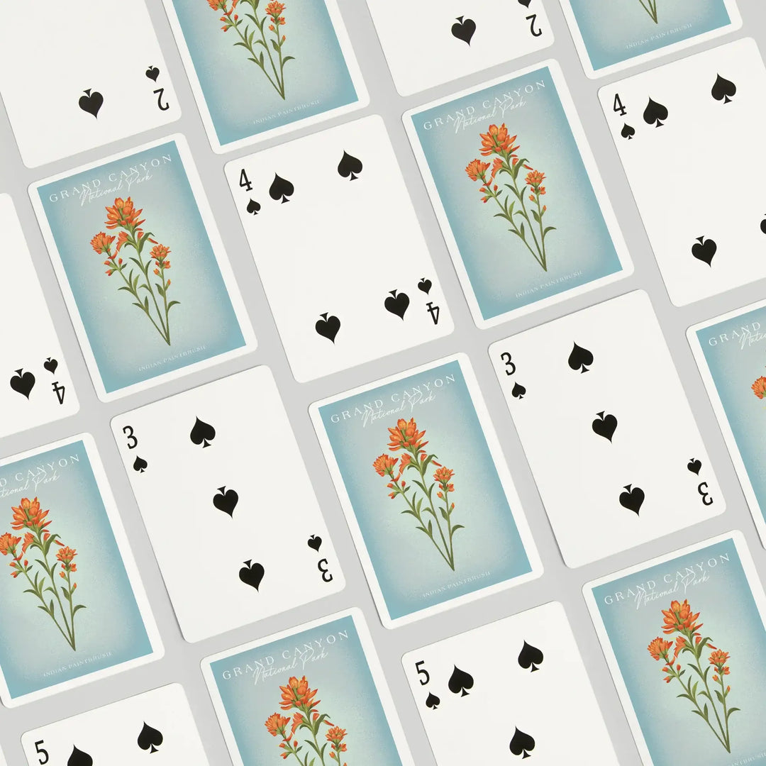 Playing Cards, Grand Canyon National Park, Arizona, Vintage Flora, Indian Paintbrush, 52 Card Deck with Jokers in Box, Unique Art Cards Lantern Press 
