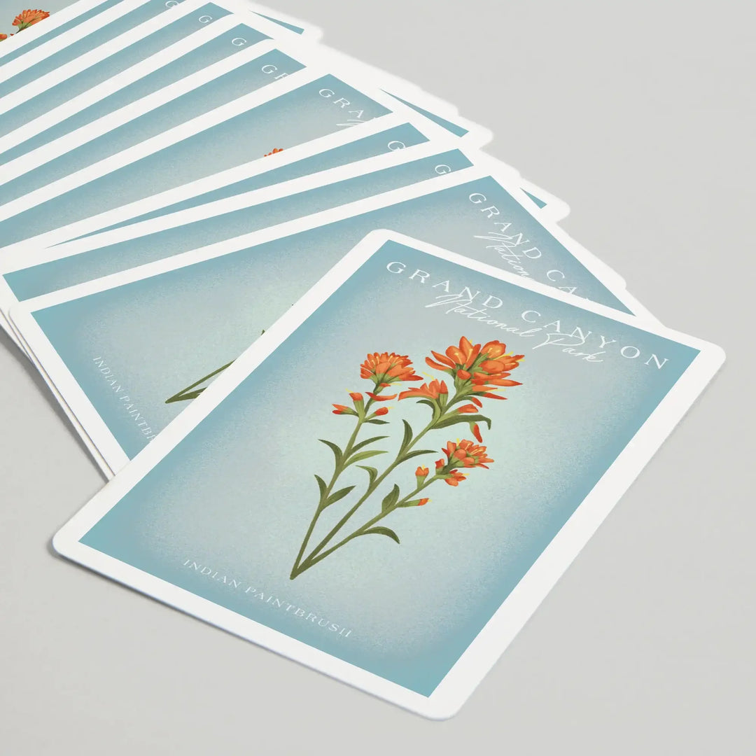 Playing Cards, Grand Canyon National Park, Arizona, Vintage Flora, Indian Paintbrush, 52 Card Deck with Jokers in Box, Unique Art Cards Lantern Press 