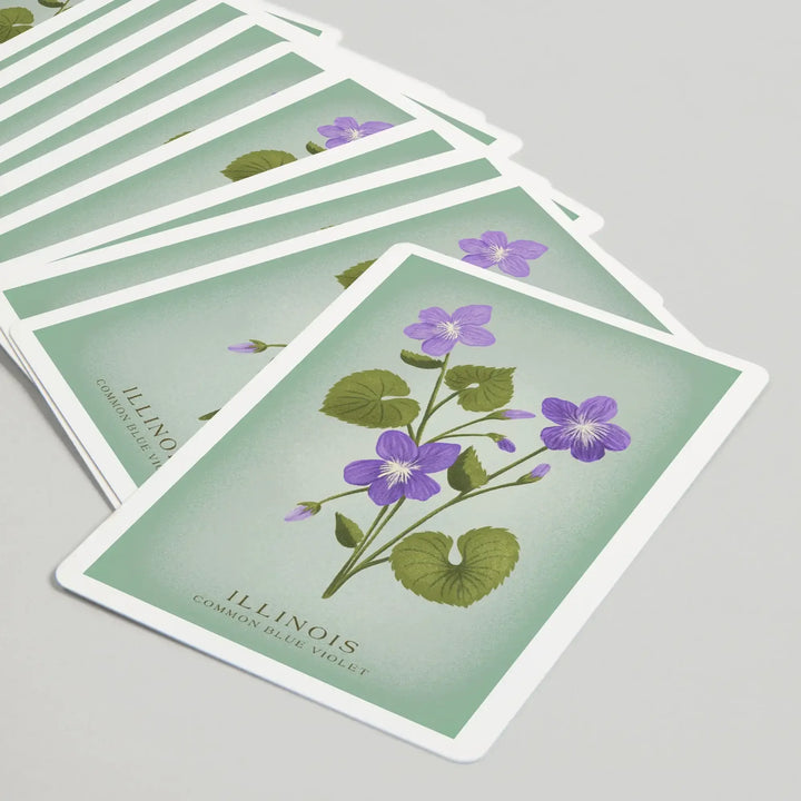 Playing Cards, Illinois, Vintage Flora, State Series, Common Blue Violet, 52 Card Deck with Jokers in Box, Unique Art Cards Lantern Press 