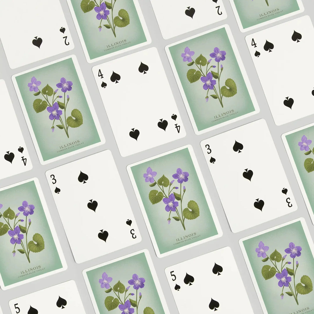 Playing Cards, Illinois, Vintage Flora, State Series, Common Blue Violet, 52 Card Deck with Jokers in Box, Unique Art Cards Lantern Press 