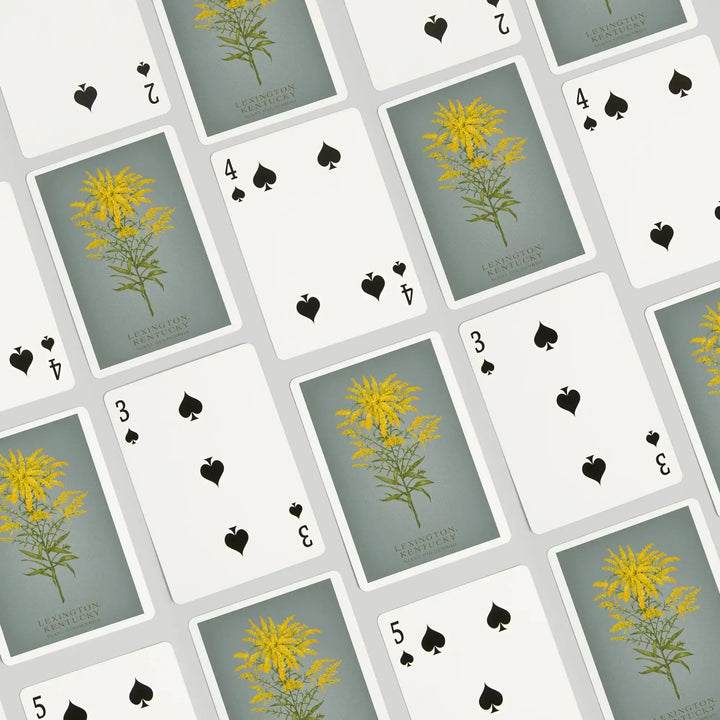 Playing Cards, Lexington, Kentucky, Vintage Flora, State Series, Giant Goldenrod, 52 Card Deck with Jokers in Box, Unique Art Cards Lantern Press 