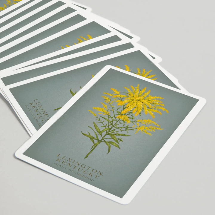 Playing Cards, Lexington, Kentucky, Vintage Flora, State Series, Giant Goldenrod, 52 Card Deck with Jokers in Box, Unique Art Cards Lantern Press 