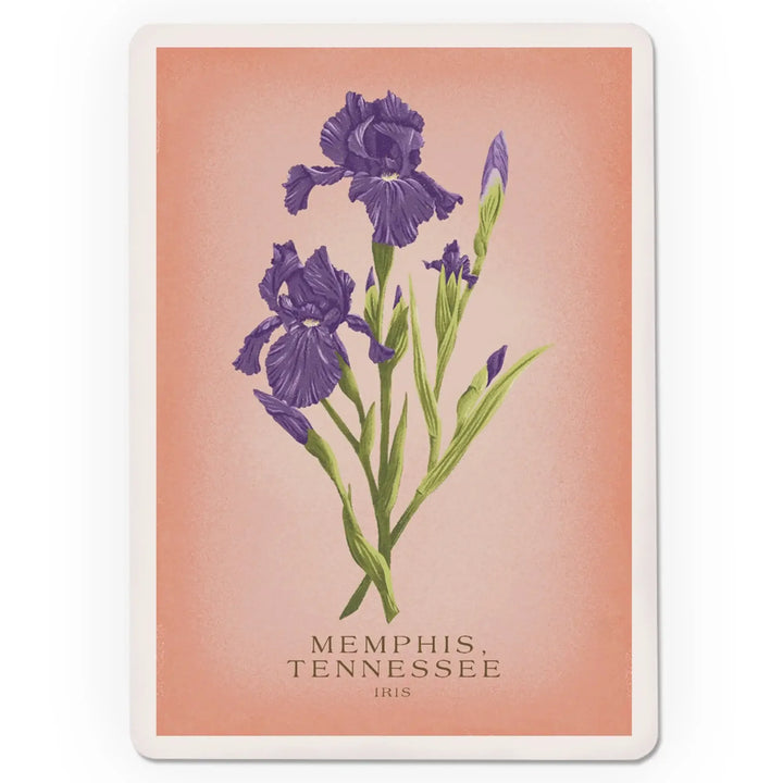 Playing Cards, Memphis, Tennessee, Vintage Flora, State Series, Iris, 52 Card Deck with Jokers in Box, Unique Art Cards Lantern Press 