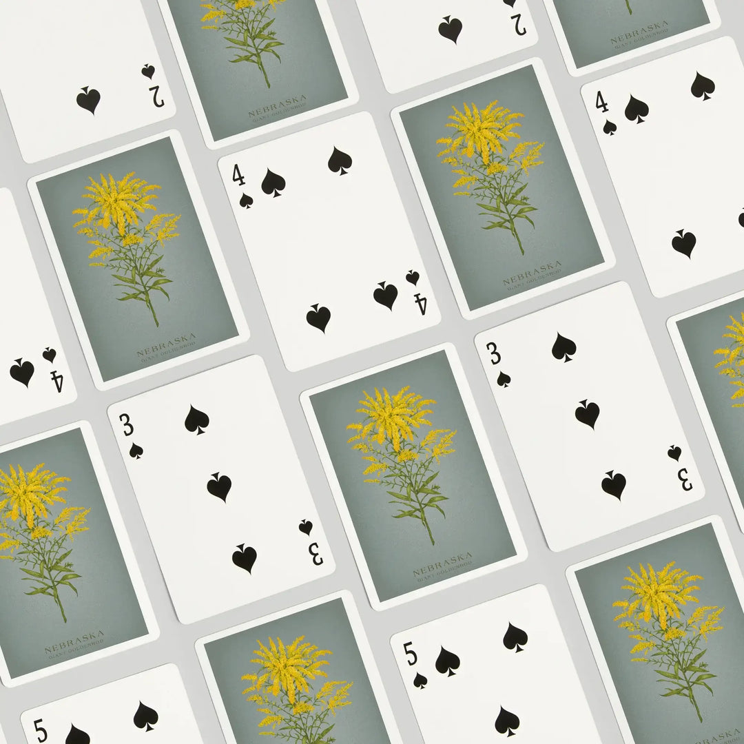 Playing Cards, Nebraska, Vintage Flora, State Series, Giant Goldenrod, 52 Card Deck with Jokers in Box, Unique Art Cards Lantern Press 
