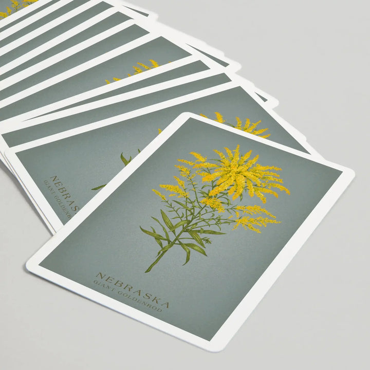Playing Cards, Nebraska, Vintage Flora, State Series, Giant Goldenrod, 52 Card Deck with Jokers in Box, Unique Art Cards Lantern Press 