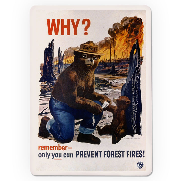 Playing Cards, Smokey Bear, Why, Officially Licensed Vintage Poster, 52 Card Deck with Jokers in Box, Unique Art Cards Lantern Press 