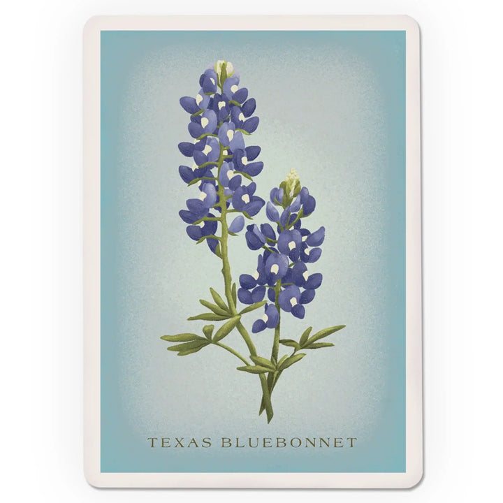 Playing Cards, Texas, Vintage Flora, State Series, Blue Bonnet, 52 Card Deck with Jokers in Box, Unique Art Cards Lantern Press 