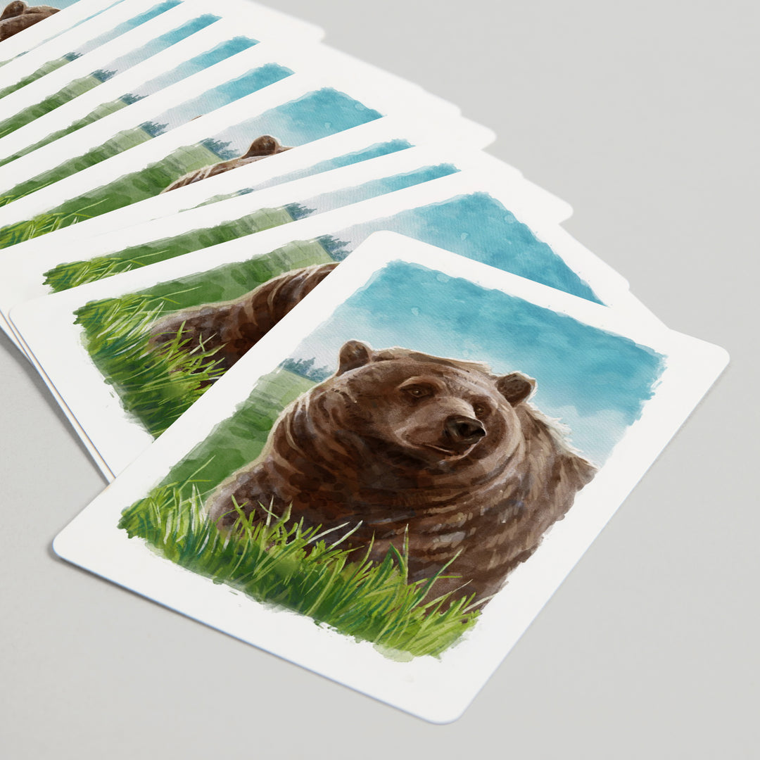 Playing Cards, Watercolor Study, Grizzly Bear, 52 Card Deck with Jokers in Box, Unique Art Cards Lantern Press 