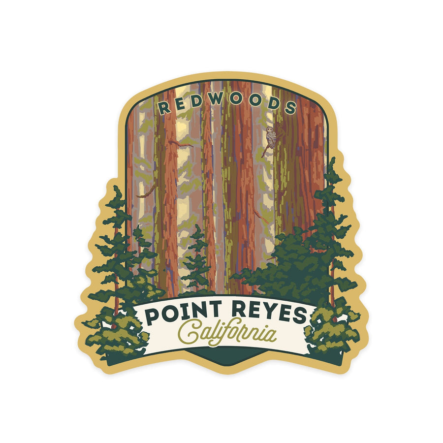 Point Reyes, California, Redwoods Forest View, Contour, Lantern Press Artwork, Vinyl Sticker Sticker Lantern Press 