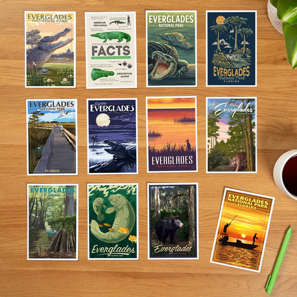 Postcards, Everglades National Park Set, Florida, 12 Different Original Hand Illustrated 4x6 Postcards, by Lantern Press postcard packs Lantern Press 