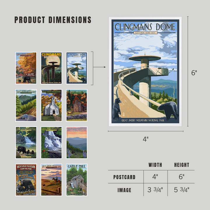 Postcards, Great Smoky Mountain National Park, Tennessee Set, 12 Different Original Hand Illustrated 4x6 Postcards by Lantern Press postcard packs Lantern Press 