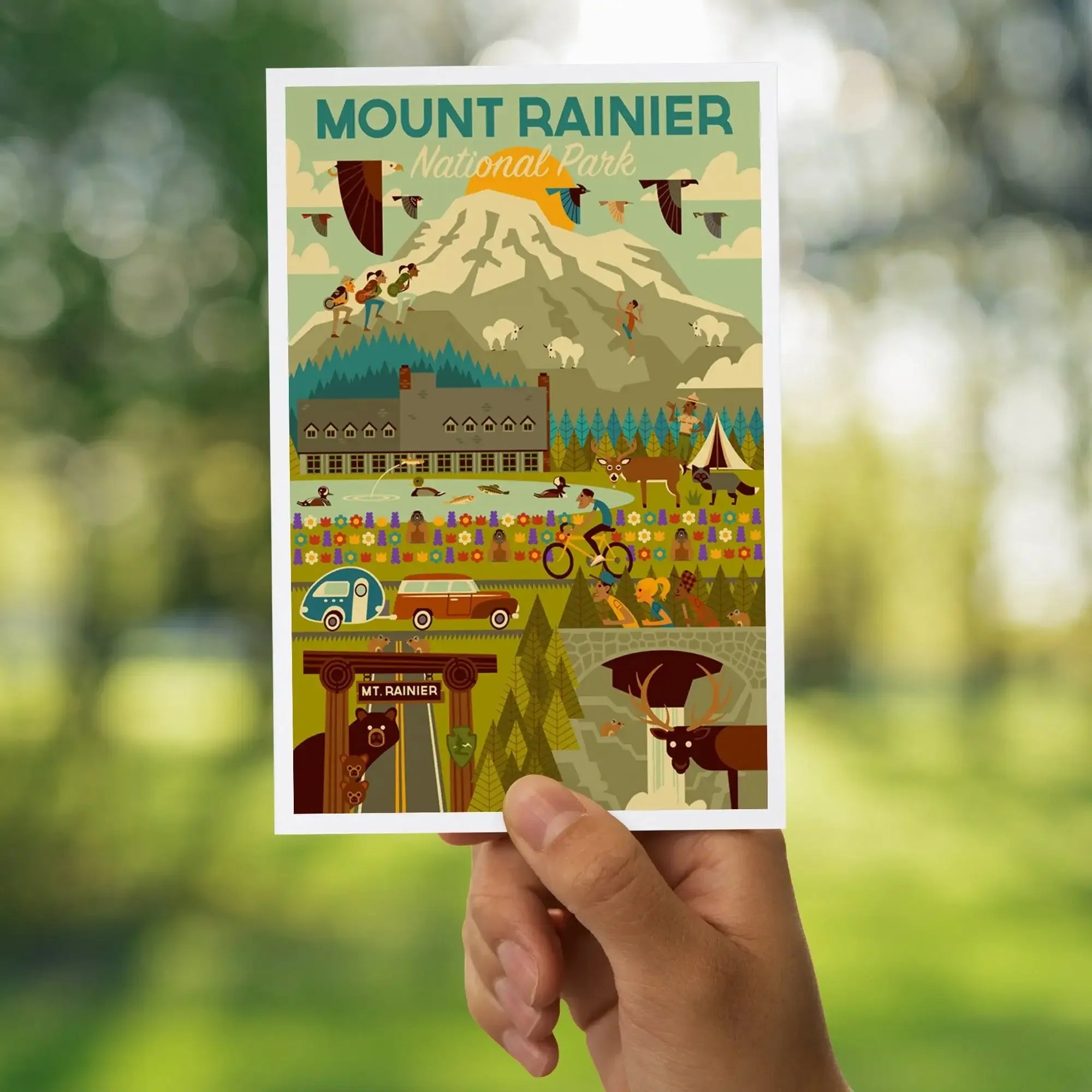 Postcards, Mount Rainier National Park Set, Washington, 12