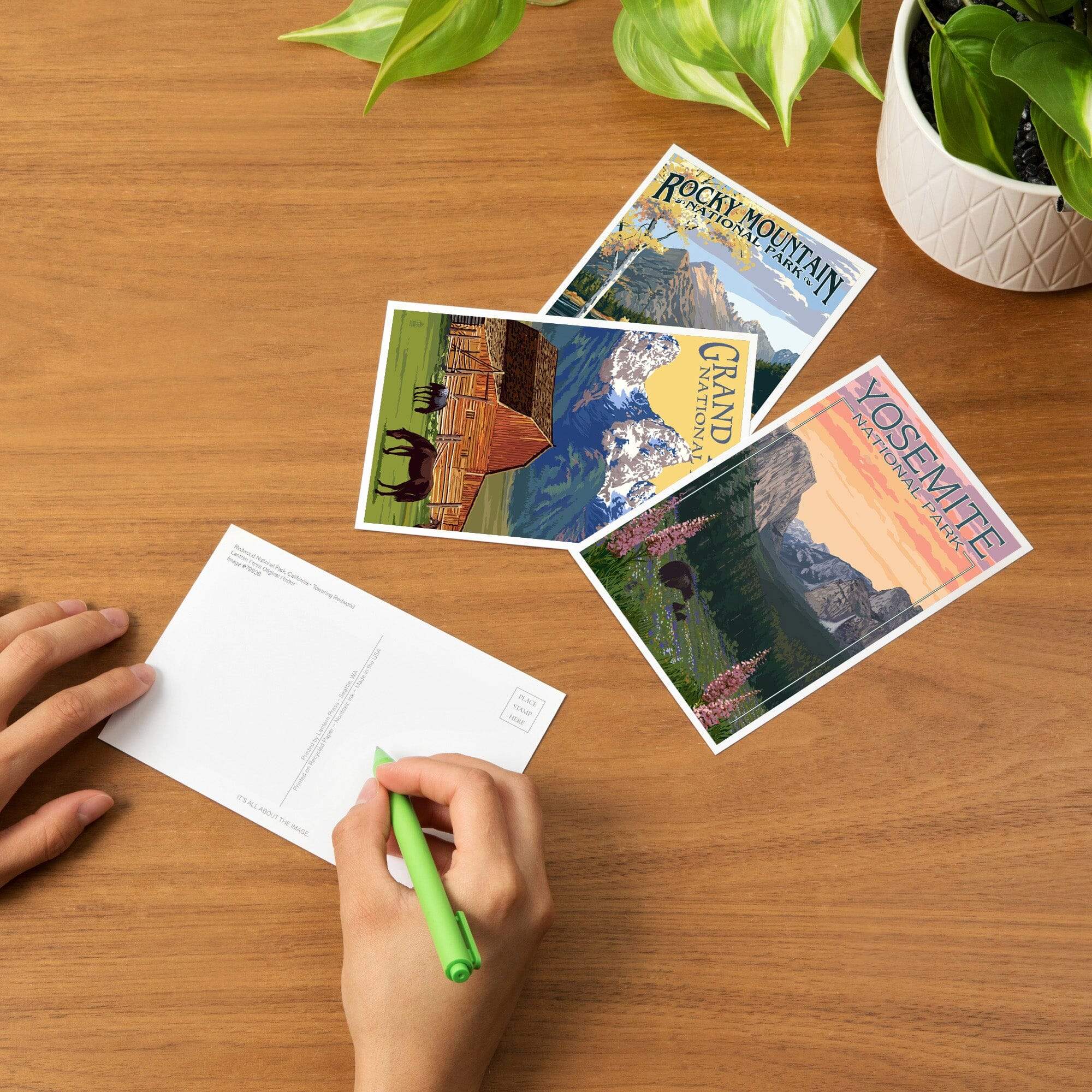 コレクション Postal card Postcards, National Park Set Bryce Canyon, Theodore Roosevelt