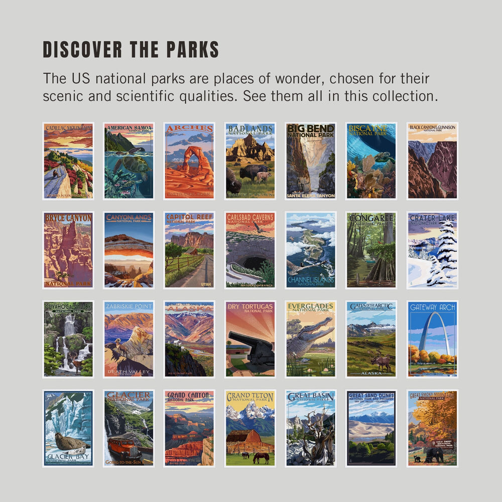 Postcards, National Park Set Bryce Canyon, Theodore Roosevelt, Kenai Fjords, 62 Different Original Illustrated 4x6 Postcards, Lantern Press postcard packs Lantern Press 