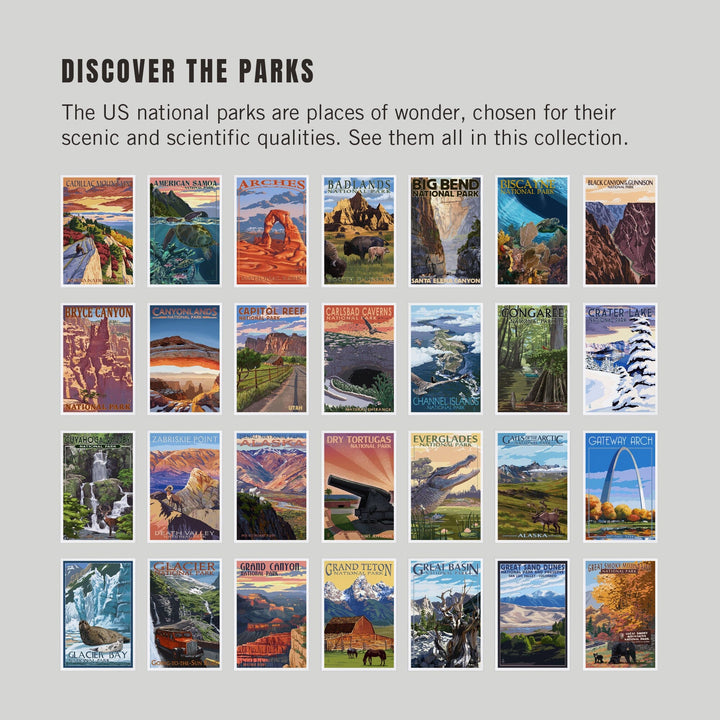 Postcards, National Park Set Bryce Canyon, Theodore Roosevelt, Kenai Fjords, 62 Different Original Illustrated 4x6 Postcards, Lantern Press postcard packs Lantern Press 