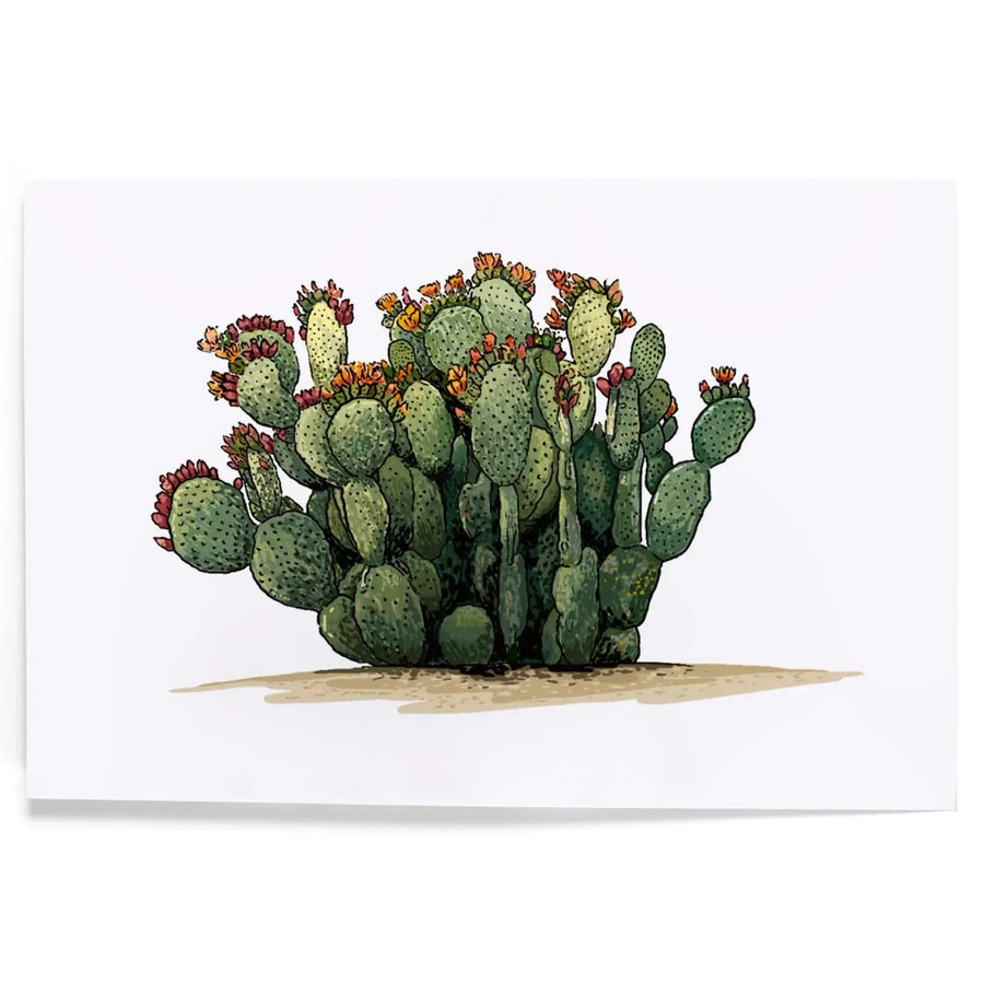prickly pear cactus art Prickly Pear Cactus Art prints, metal signs 8 x 12 Art Print