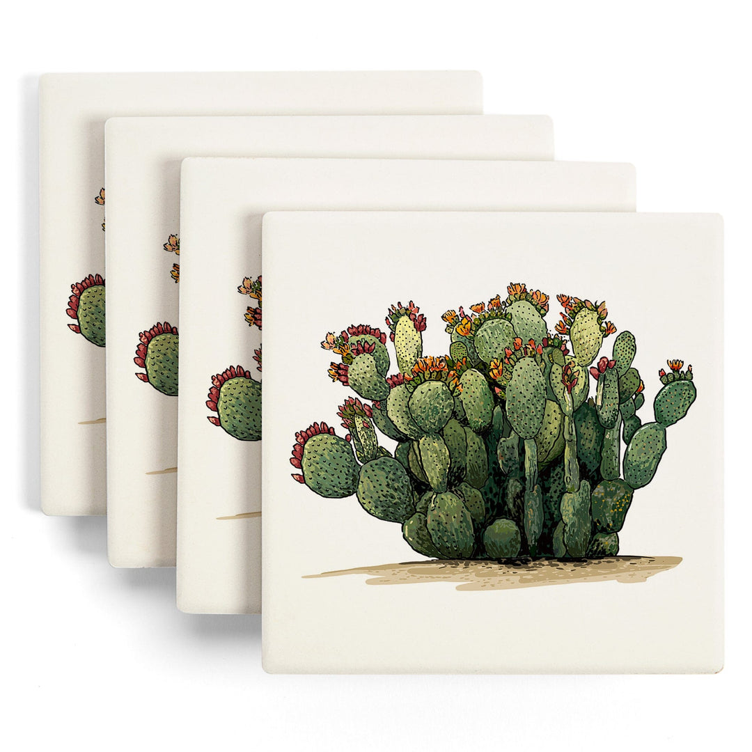 Prickly Pear Cactus, Lantern Press Artwork, Coaster Set Coasters Lantern Press 