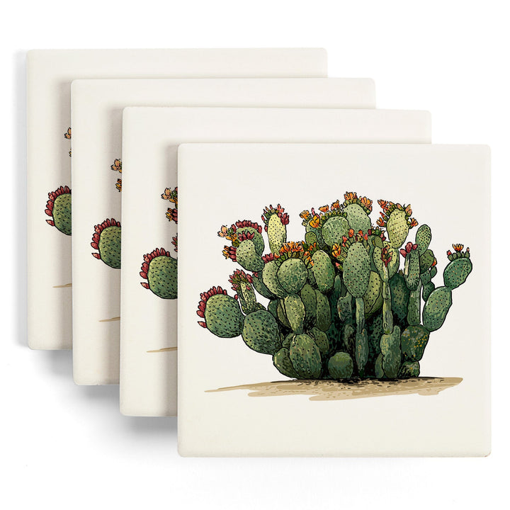 Prickly Pear Cactus, Lantern Press Artwork, Coaster Set Coasters Lantern Press 