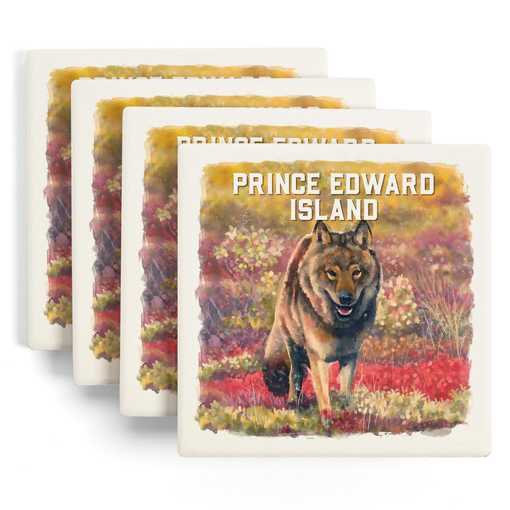 Prince Edward Island, Watercolor Study, Gray Wolf, Coasters Coasters Lantern Press 