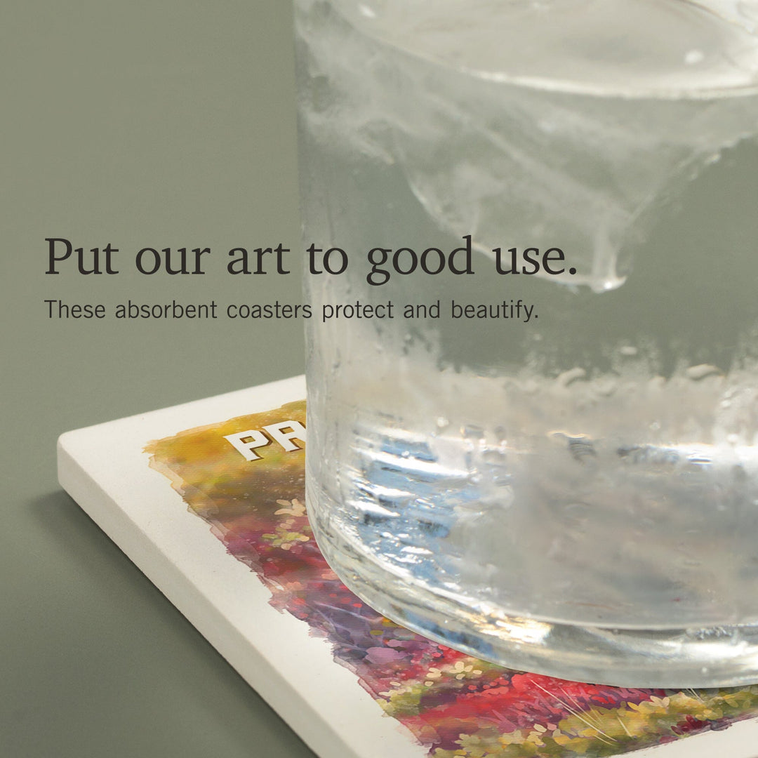 Prince Edward Island, Watercolor Study, Gray Wolf, Coasters Coasters Lantern Press 