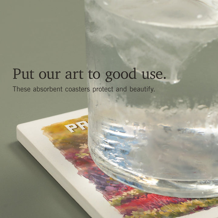 Prince Edward Island, Watercolor Study, Gray Wolf, Coasters Coasters Lantern Press 