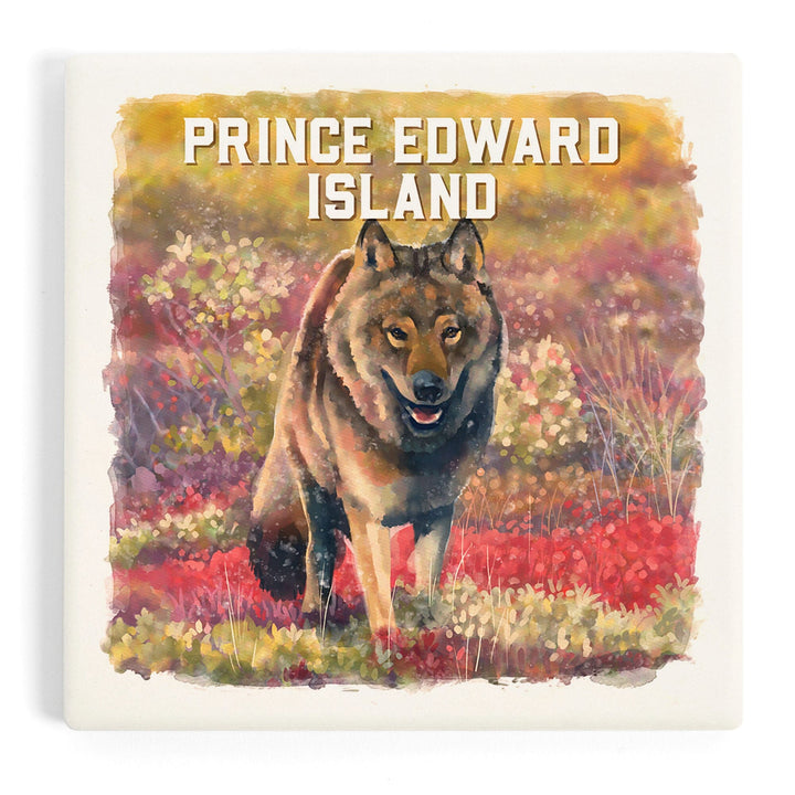 Prince Edward Island, Watercolor Study, Gray Wolf, Coasters Coasters Lantern Press Coaster 