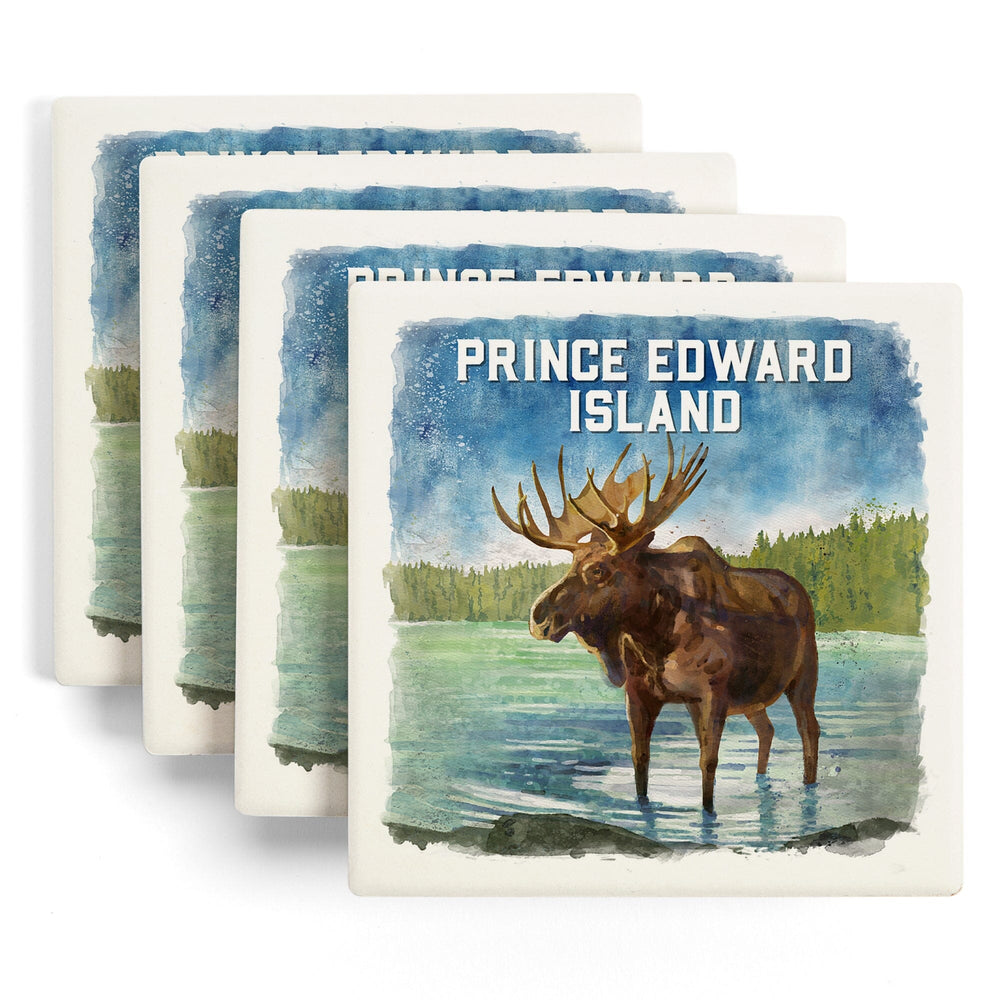 Prince Edward Island, Watercolor Study, Moose, Coasters Coasters Lantern Press 