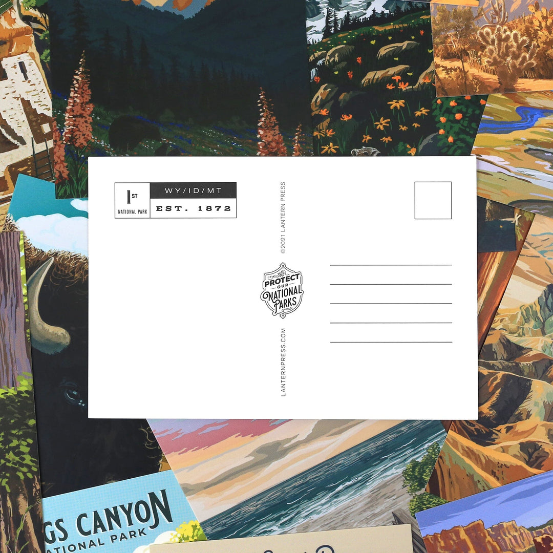 Protect Our National Parks, 63 Postcard Box Set with Unique Cards Collections Lantern Press 