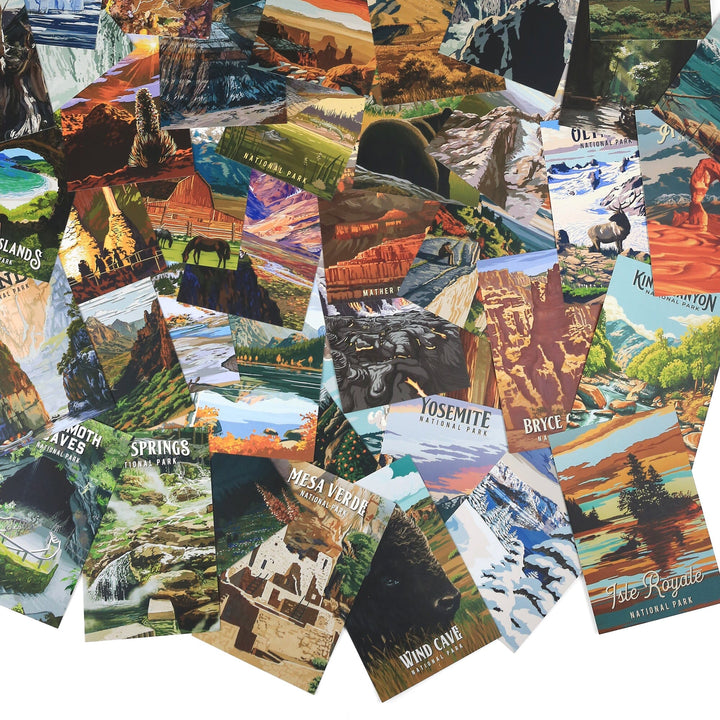 Protect Our National Parks, 63 Postcard Box Set with Unique Cards Collections Lantern Press 