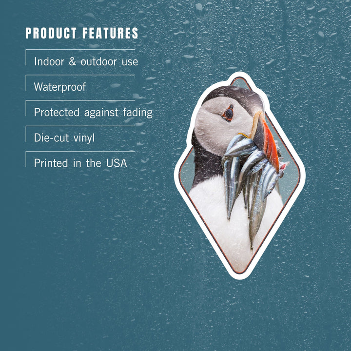 Puffin's Catch, Contour, Lantern Press Photography, Vinyl Sticker Sticker Lantern Press 