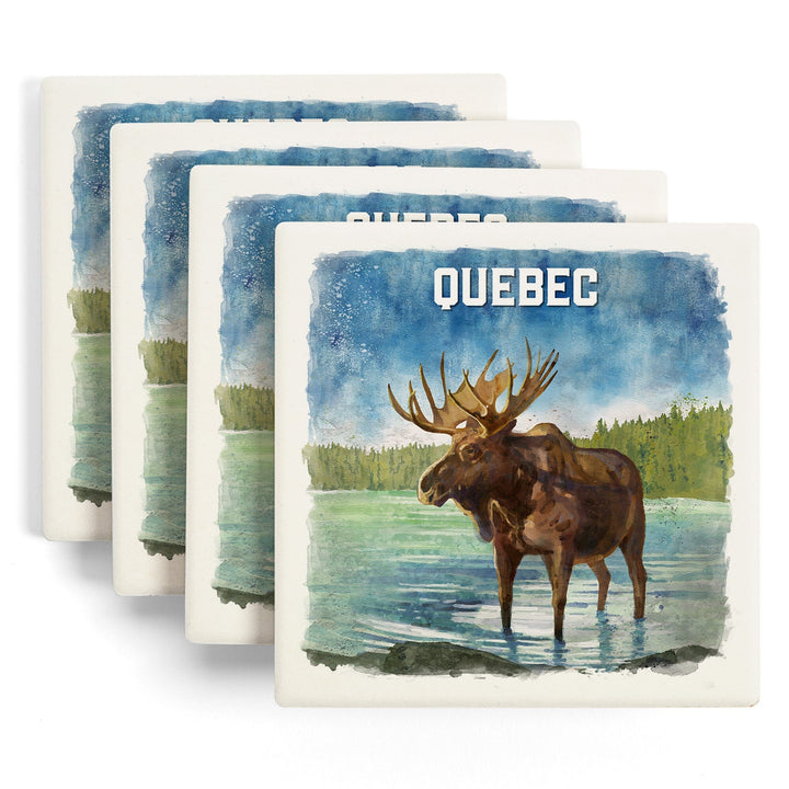 Quebec, Watercolor Study, Moose, Coasters Coasters Lantern Press 